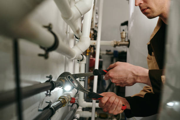 Best Drain Cleaning Services  in Williston, FL