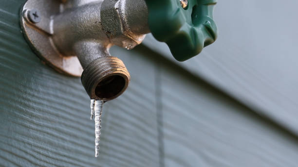 Best Plumbing Repair Near Me  in Williston, FL
